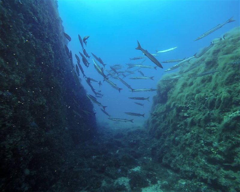 Divesite Image