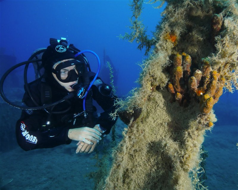 Divesite Image