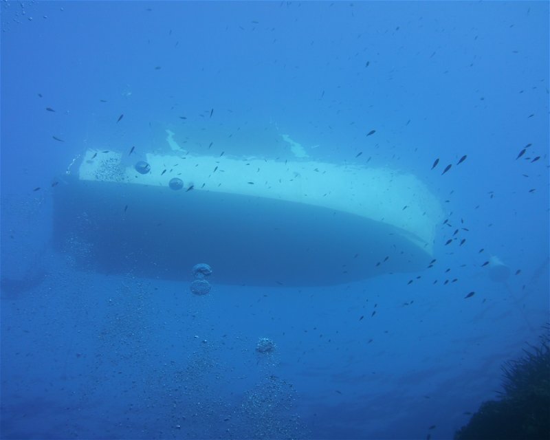 Divesite Image