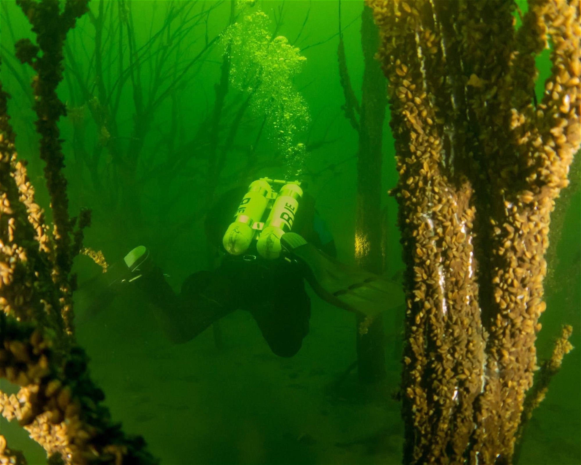 Tauchbasis Geiseltalsee, 06259 Frankleben