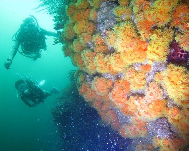 Divesite Image