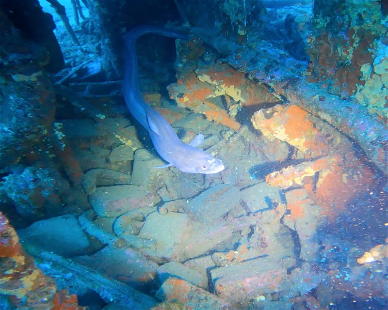 Divesite Image