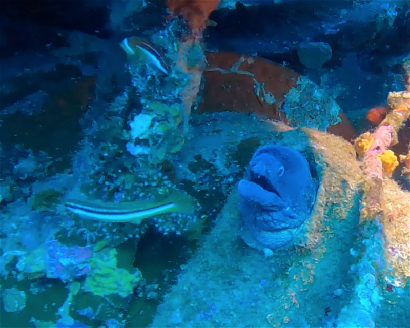 Divesite Image