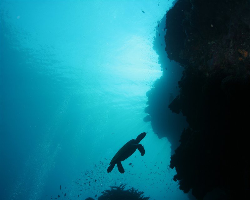 Divesite Image