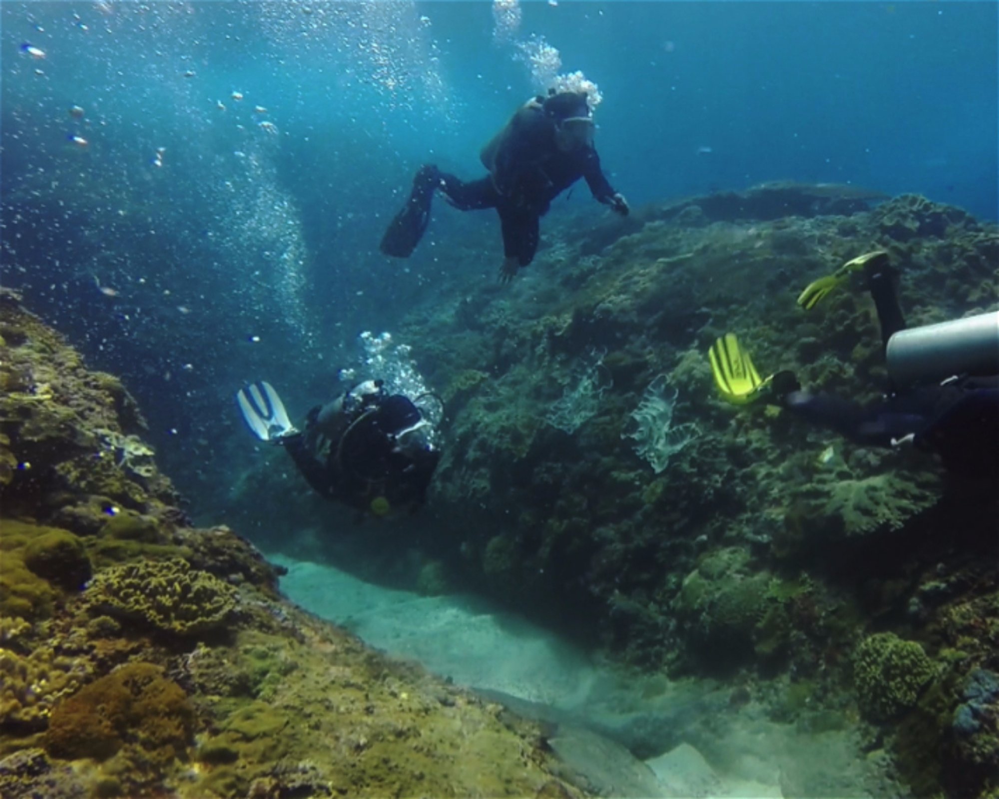 BALI FUN DIVING, 80224 Denpasar Selatan