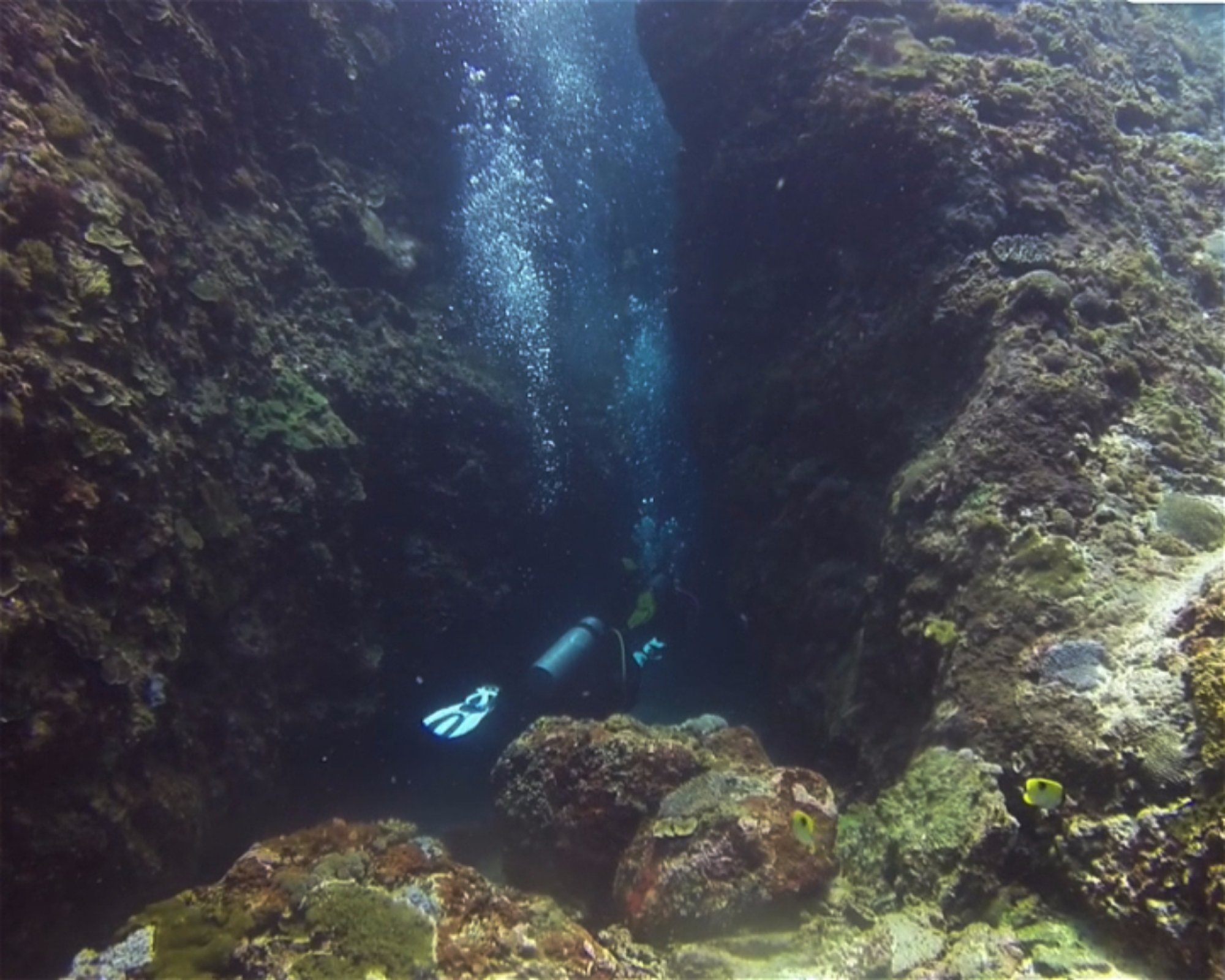 BALI FUN DIVING, 80224 Denpasar Selatan