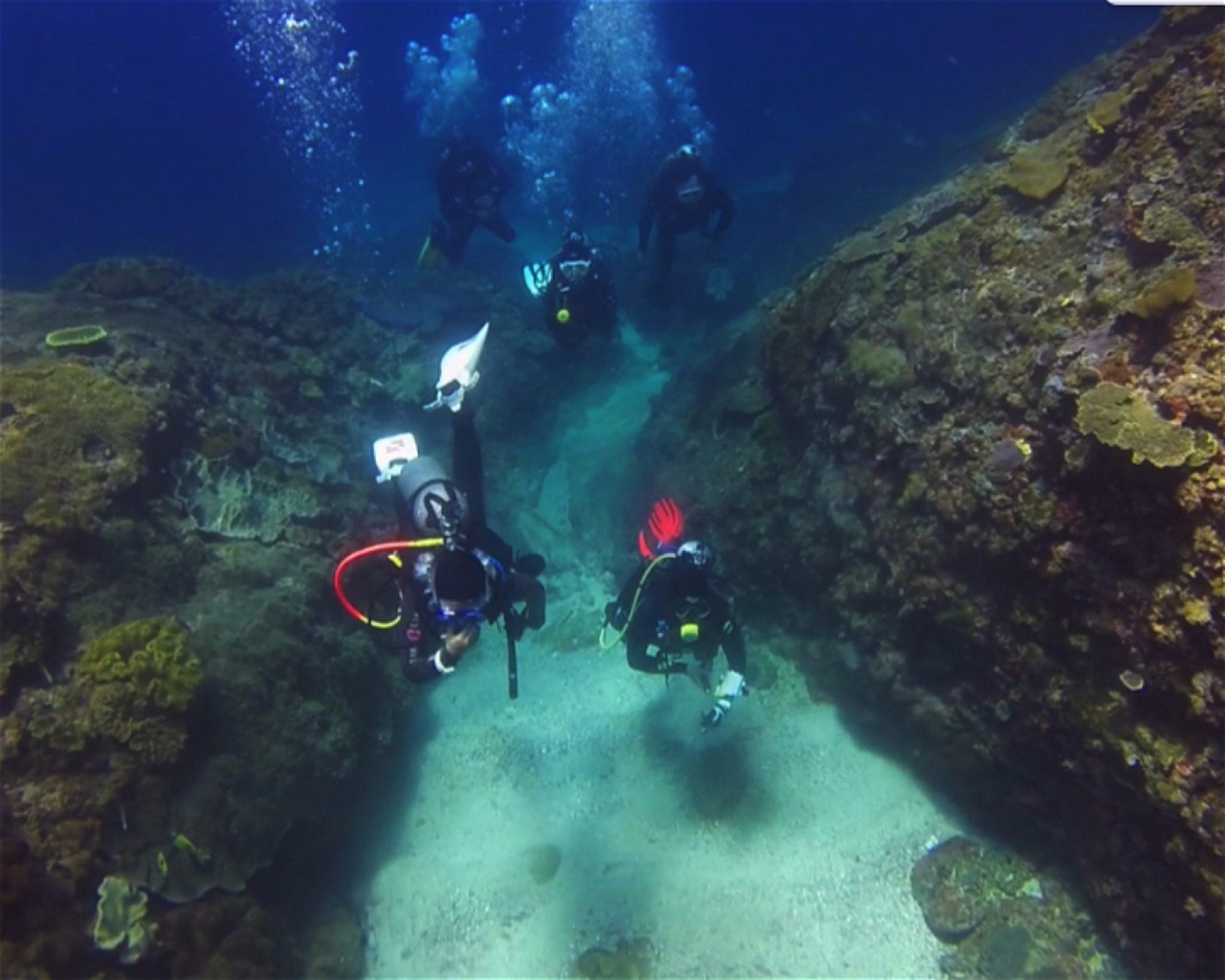BALI FUN DIVING, 80224 Denpasar Selatan