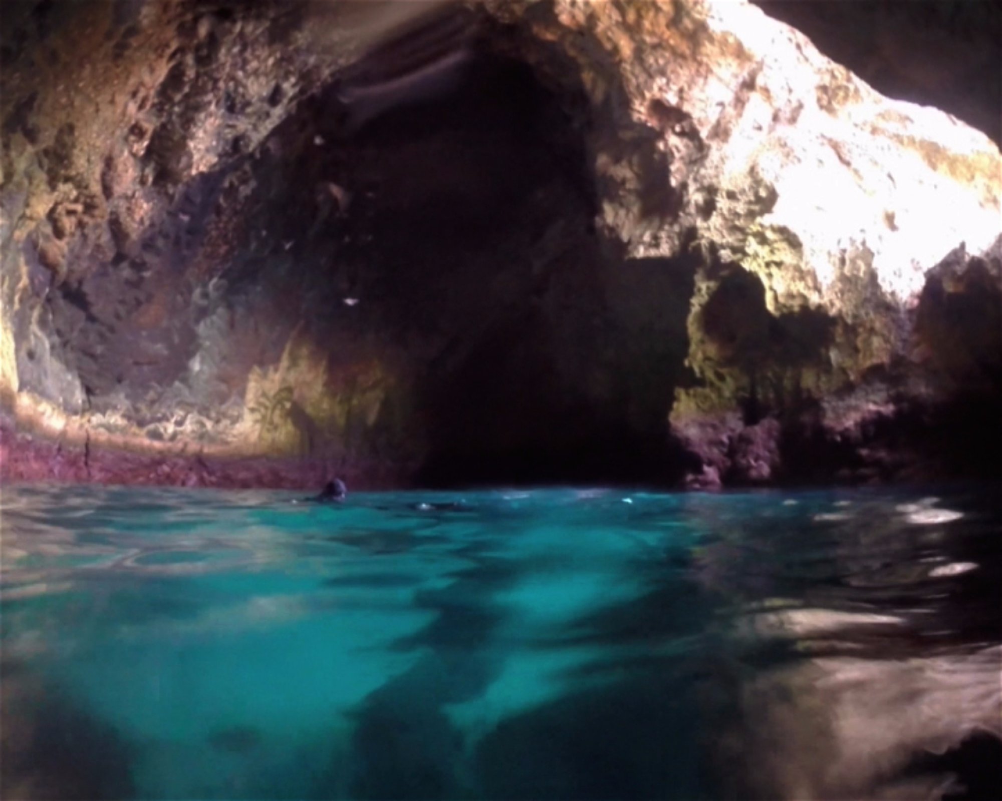 BALI FUN DIVING, 80224 Denpasar Selatan