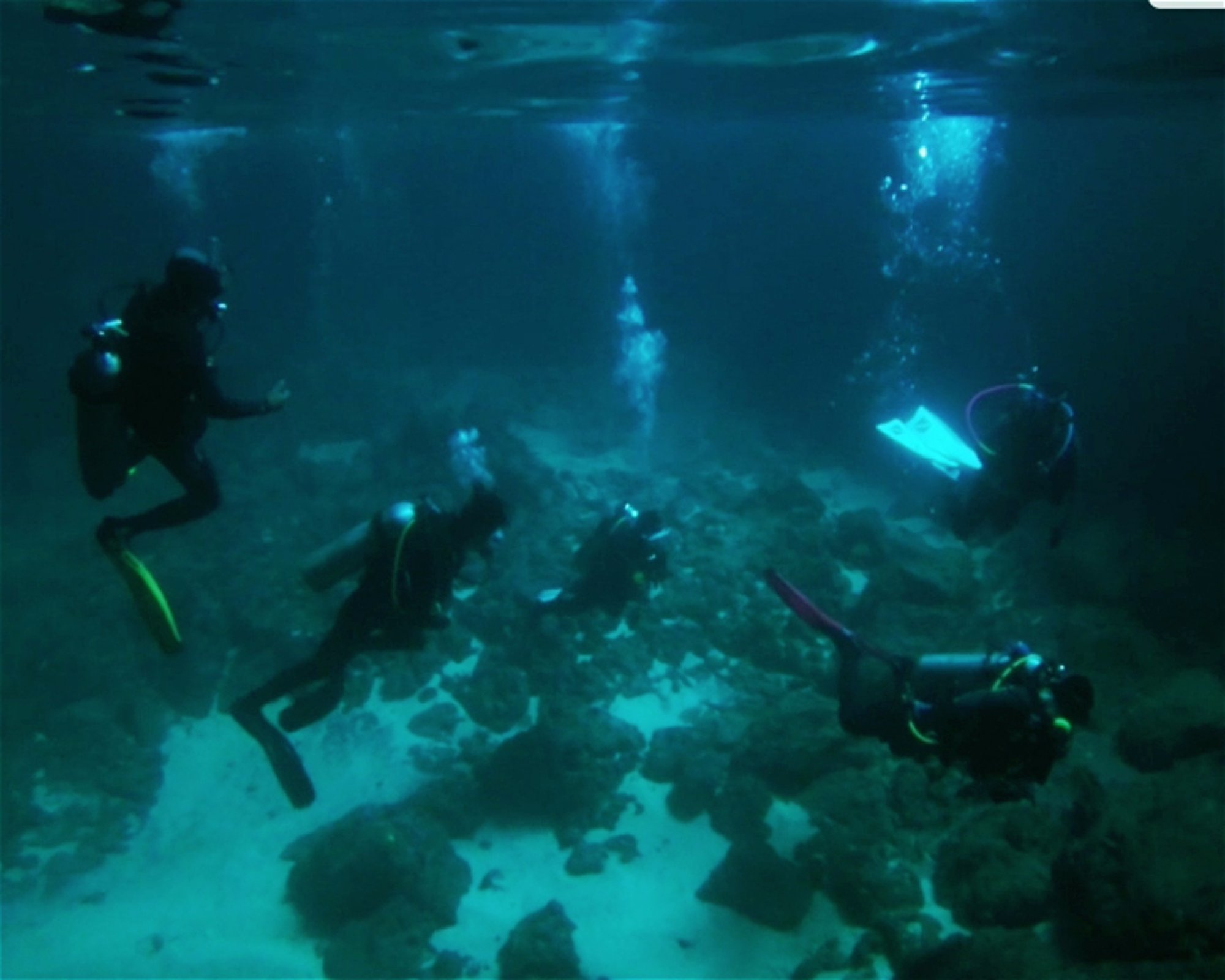 BALI FUN DIVING, 80224 Denpasar Selatan