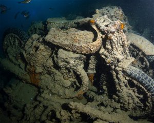 SS Thistlegorm (Wreck)  (★4.7)