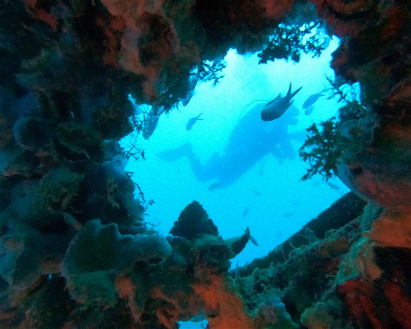 Divesite Image
