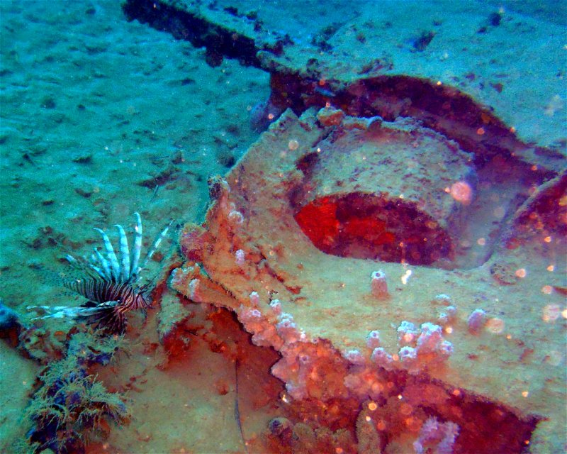 Divesite Image