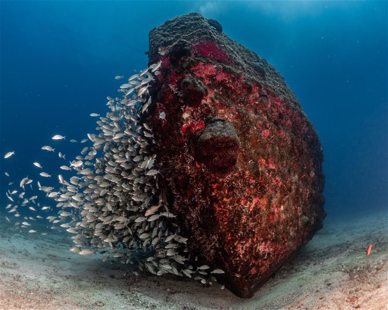 Divesite Image