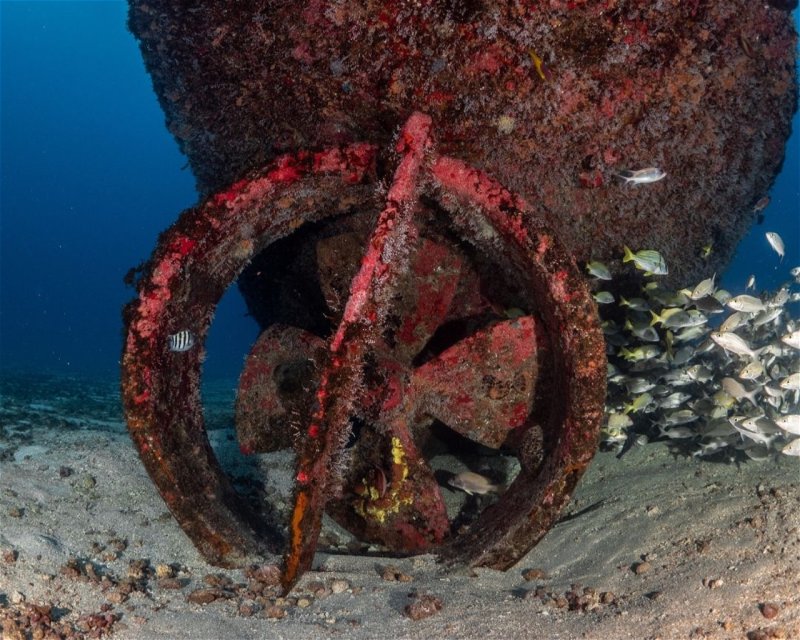 Divesite Image