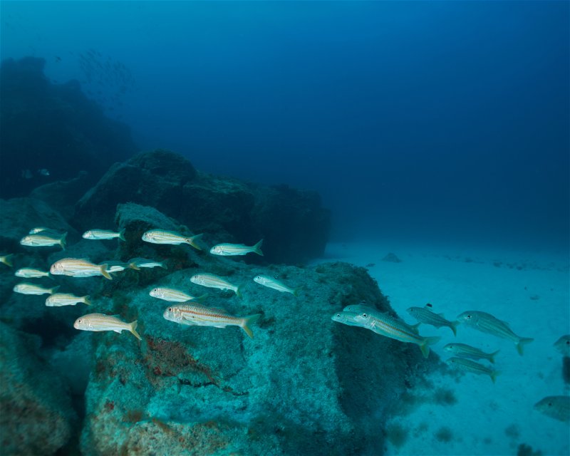Divesite Image