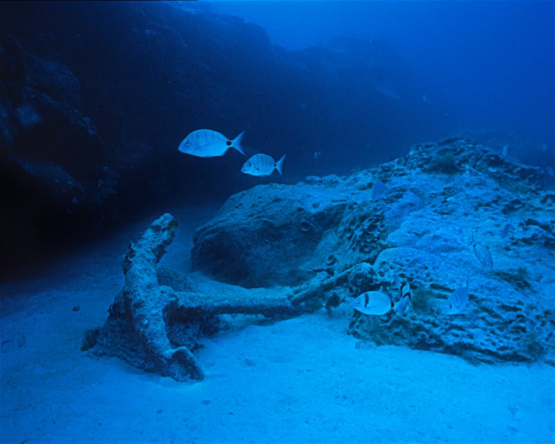 Divesite Image