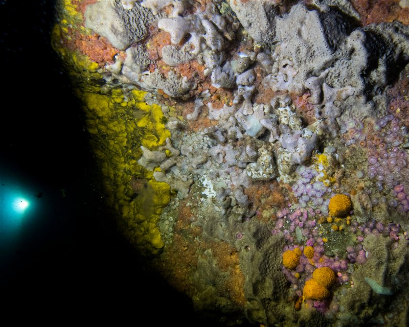 Divesite Image