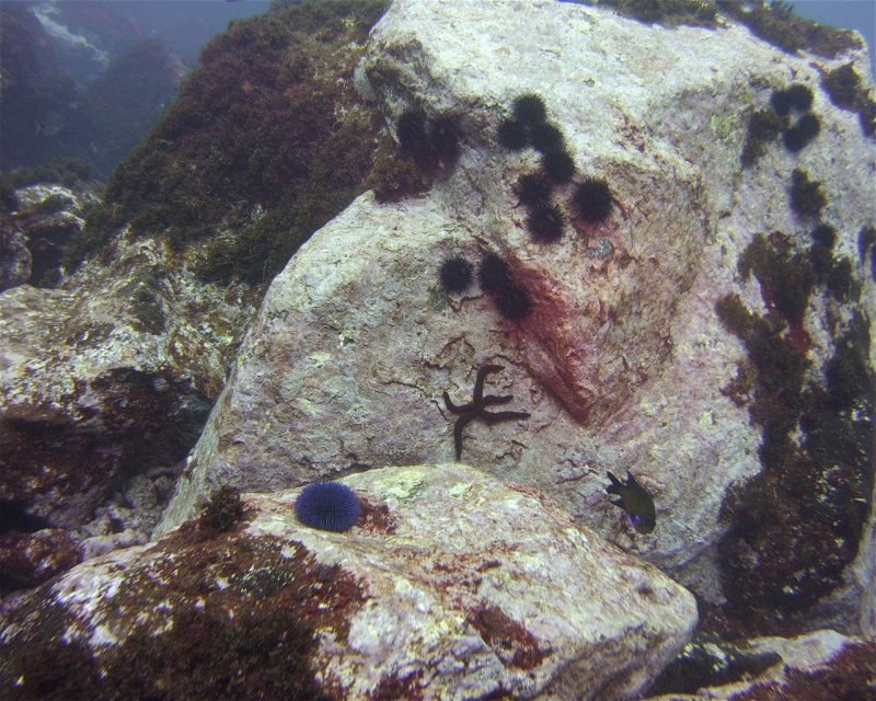 Divesite Image