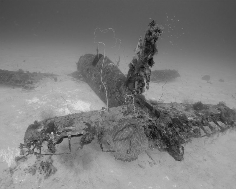 Divesite Image