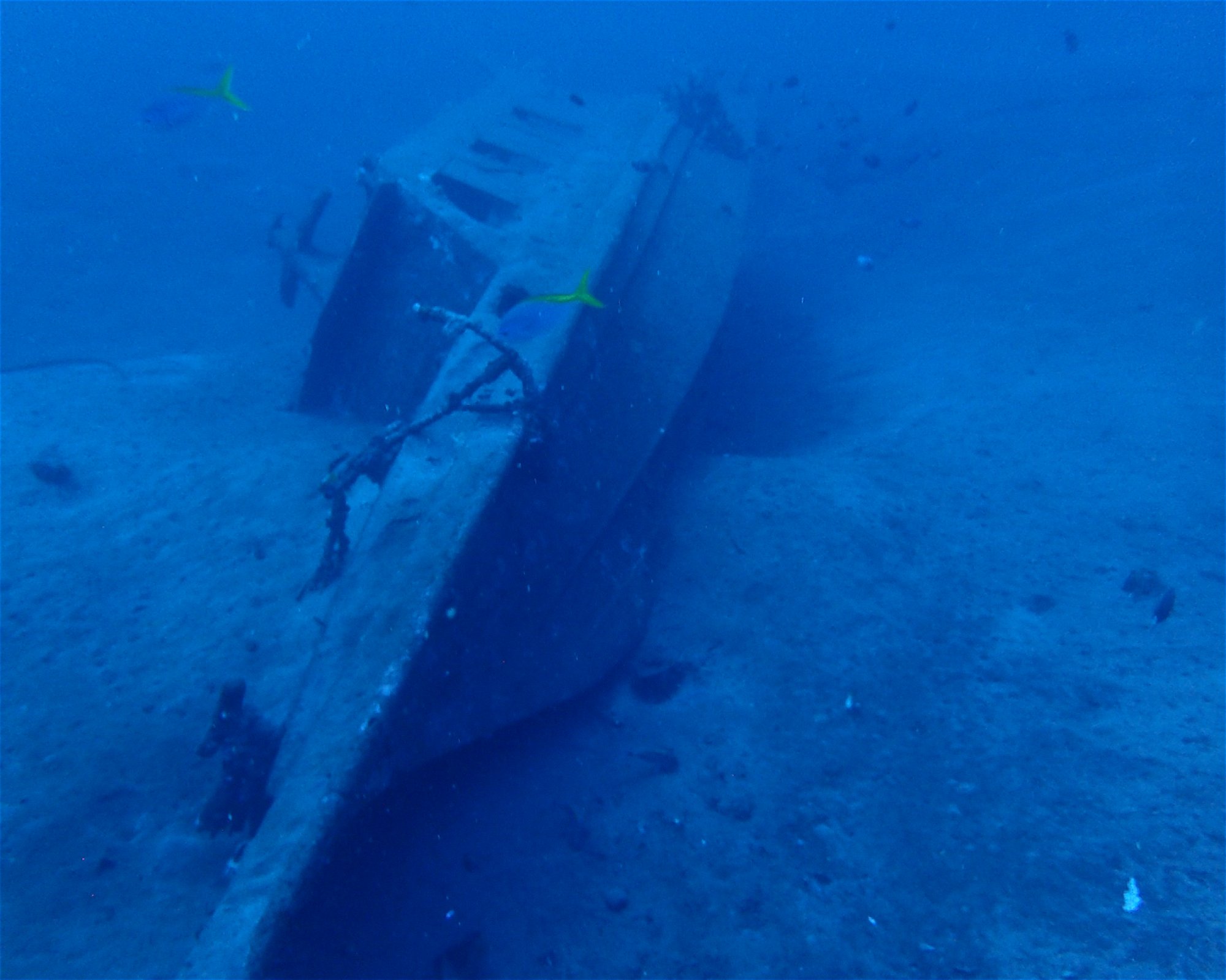 Amed Buddha Diving, 80852 Bunutan