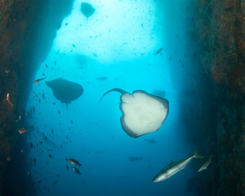 Divesite Image