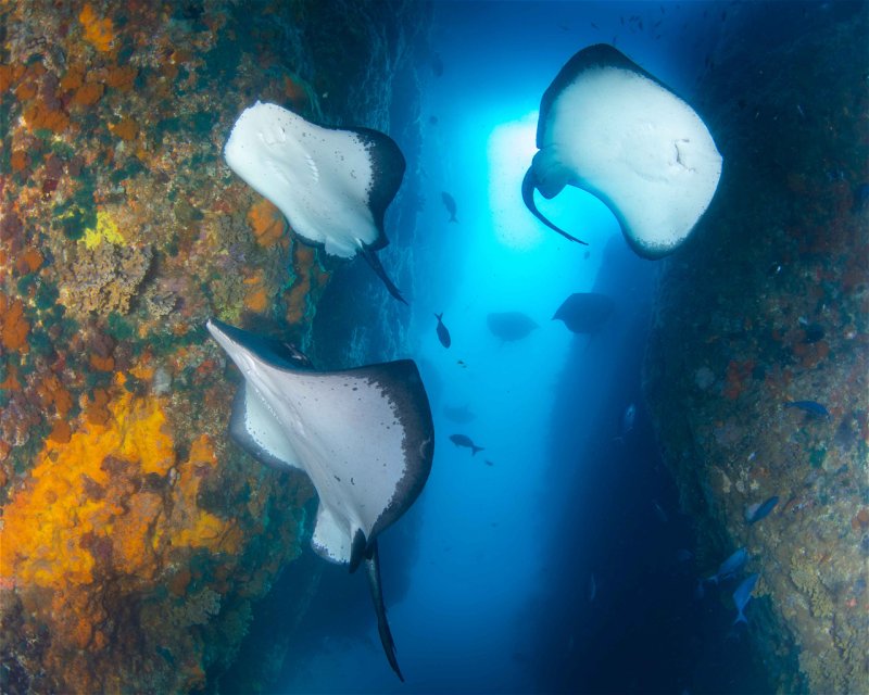 Divesite Image