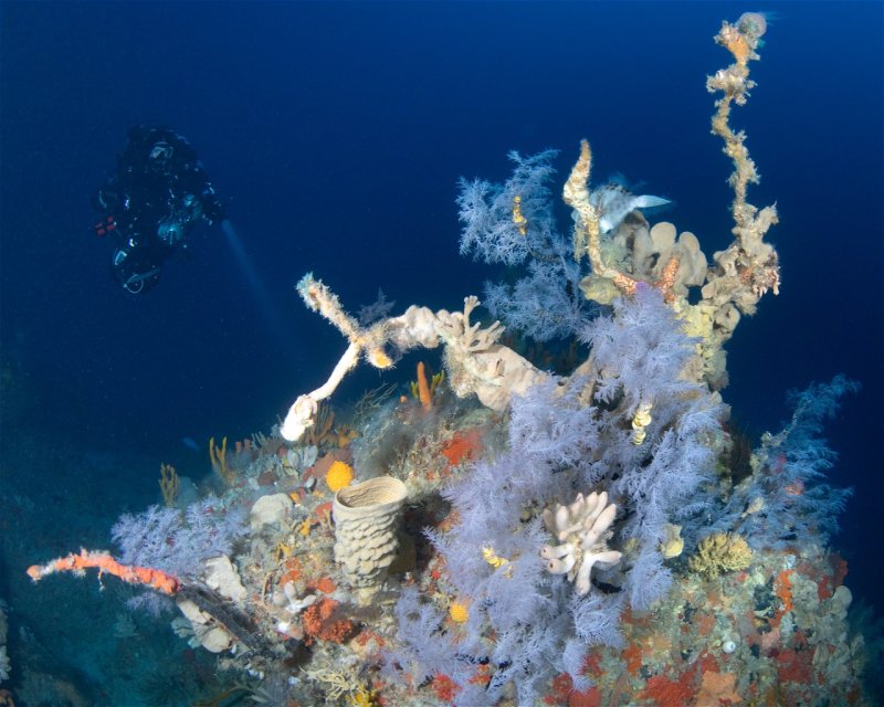 Divesite Image