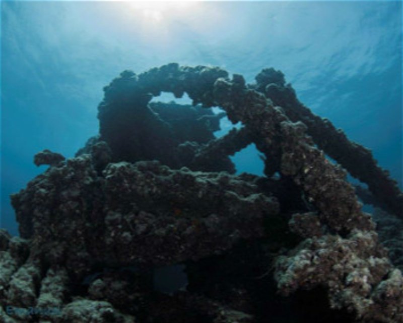 Divesite Image