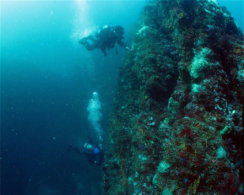 Divesite Image