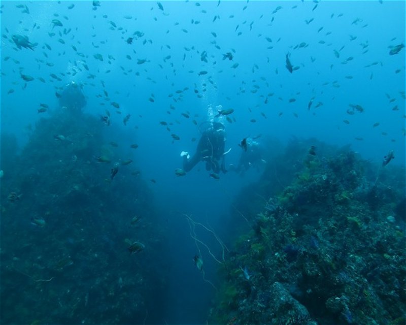Divesite Image