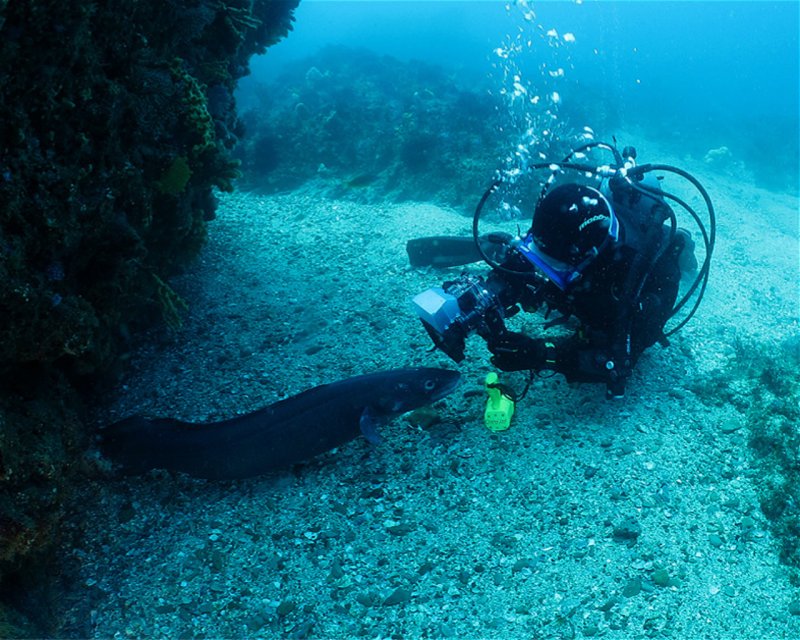 Divesite Image