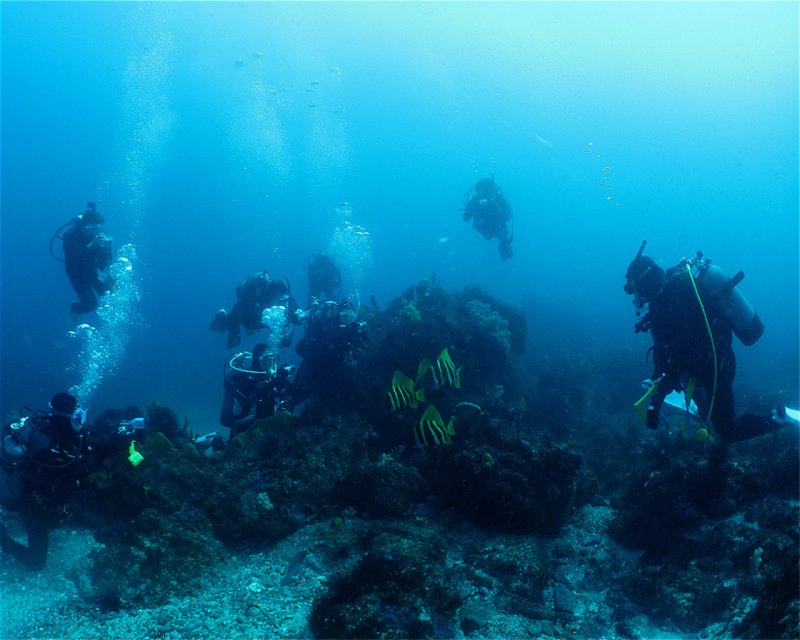 Divesite Image