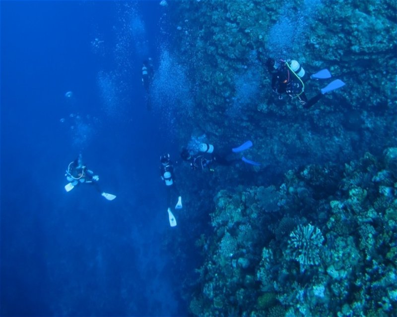 Divesite Image