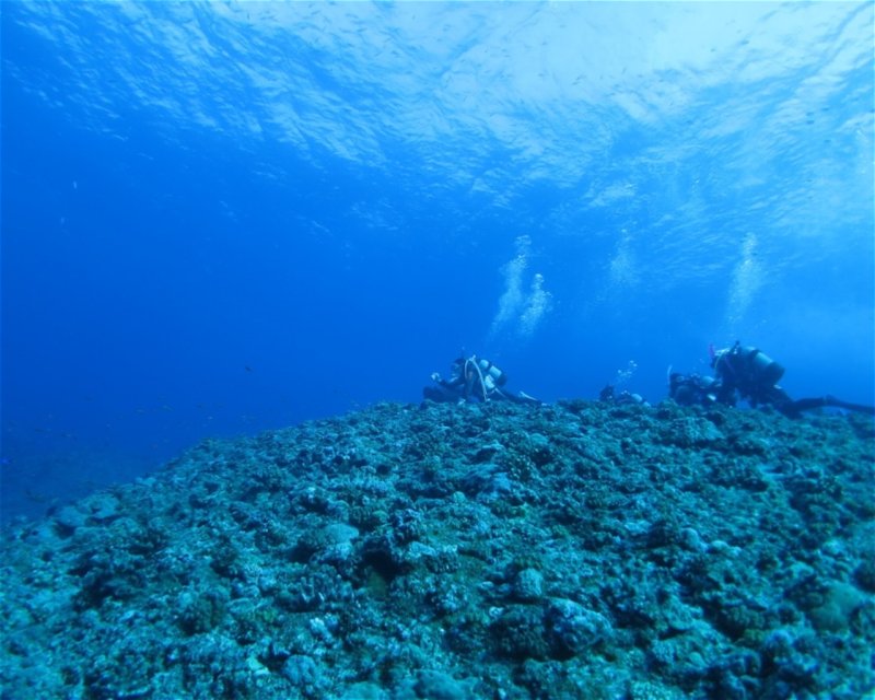 Divesite Image