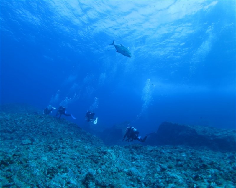 Divesite Image