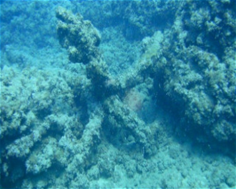 Divesite Image
