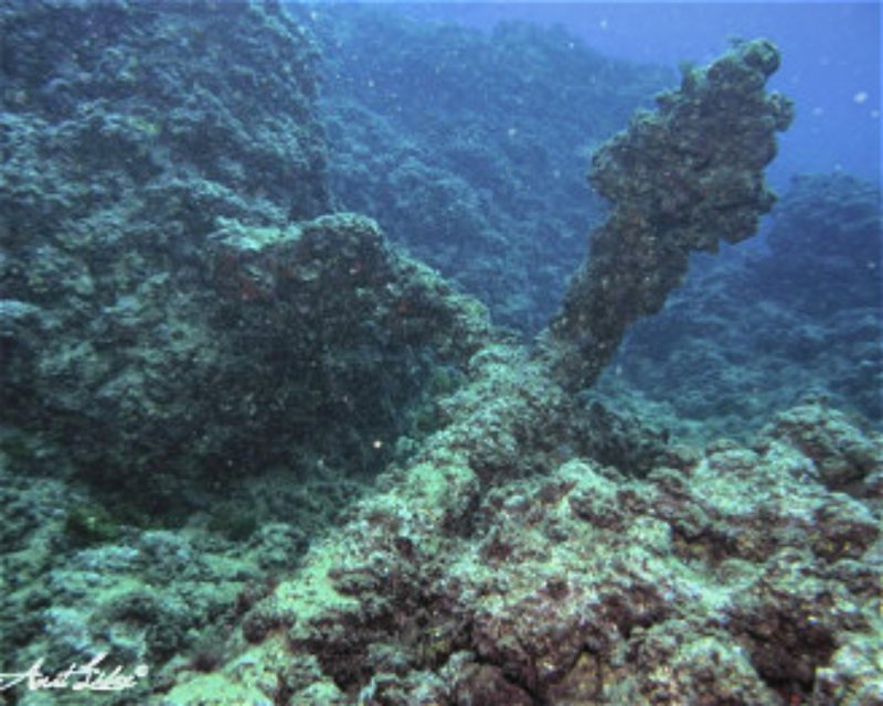 Divesite Image