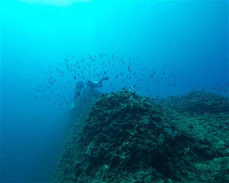 Divesite Image