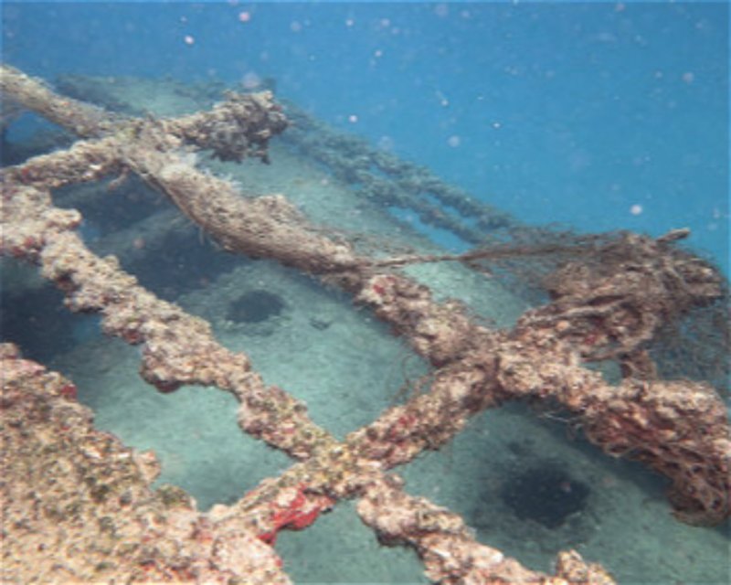 Divesite Image