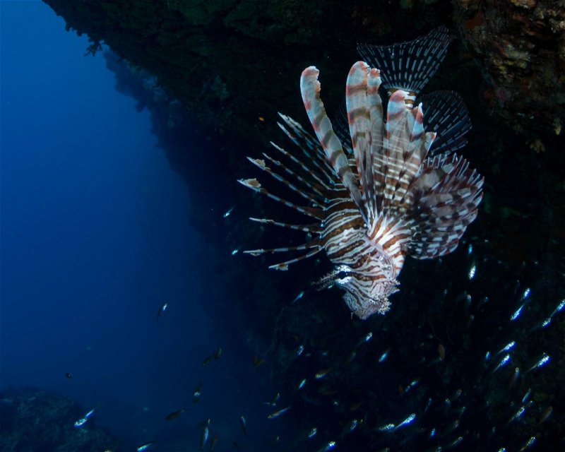 Divesite Image