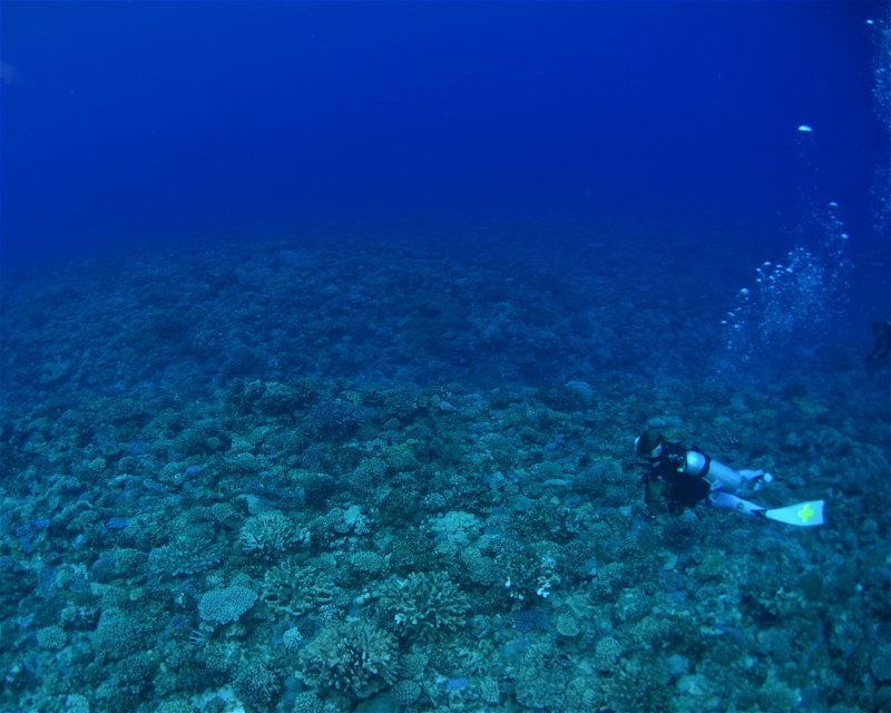 Divesite Image