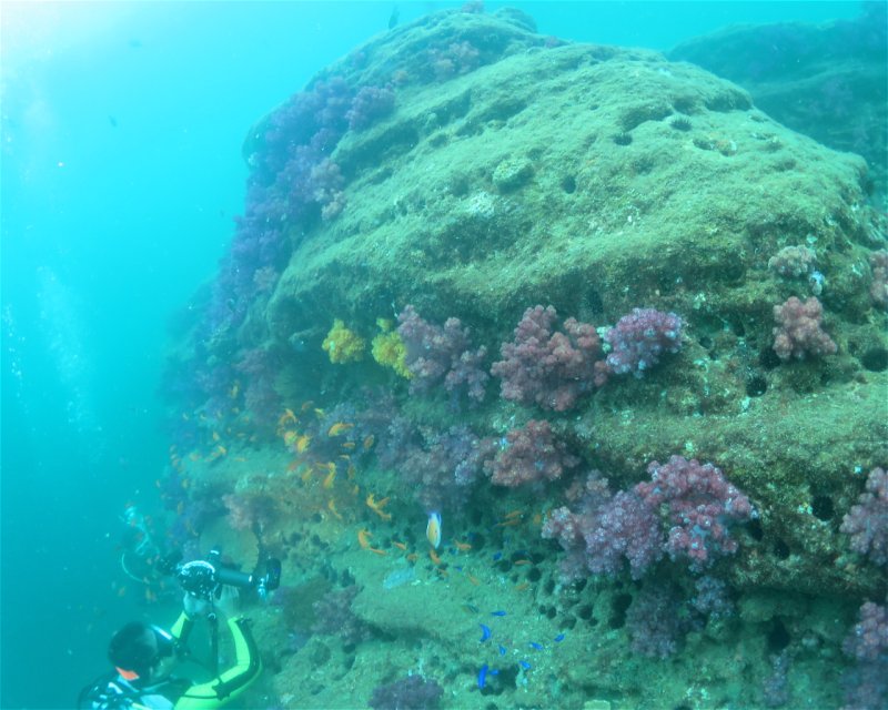 Divesite Image