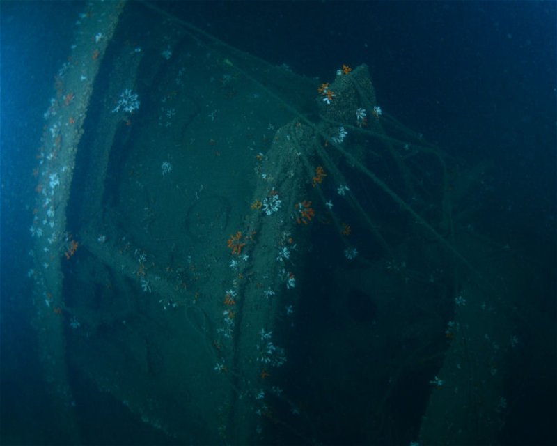 Divesite Image