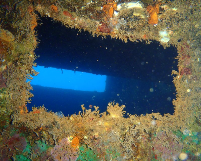 Divesite Image