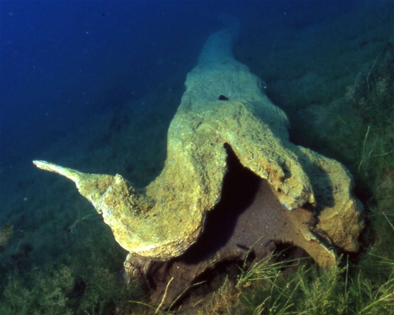 Divesite Image