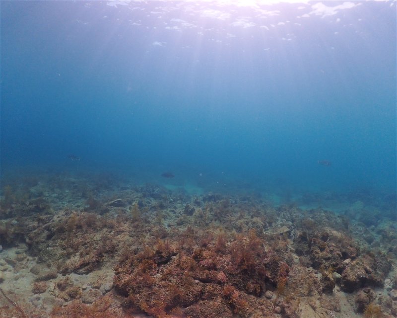 Divesite Image