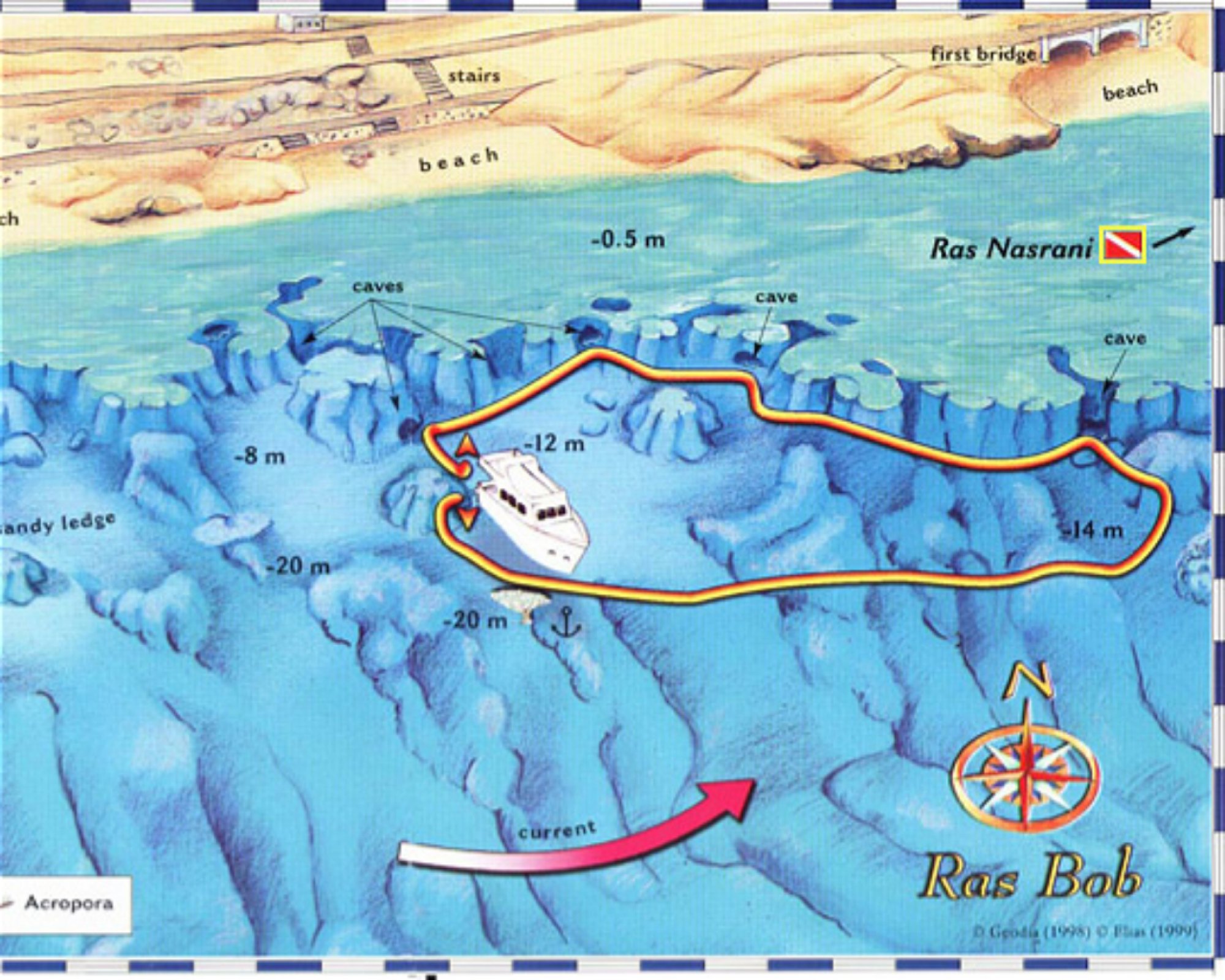 Dive One Academy, Sharm El Sheikh