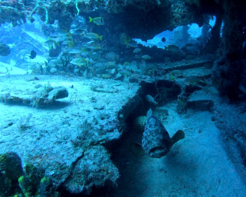 Divesite Image