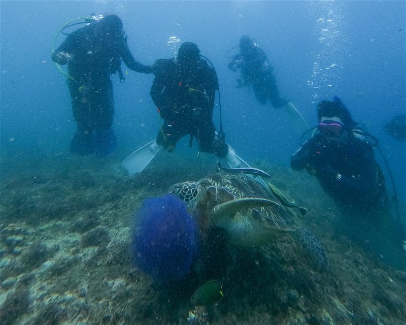 Divesite Image