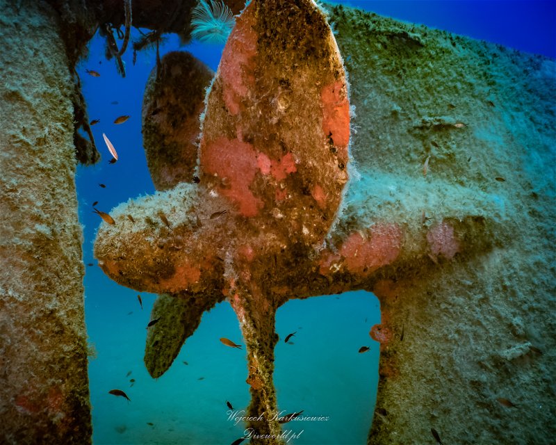 Divesite Image